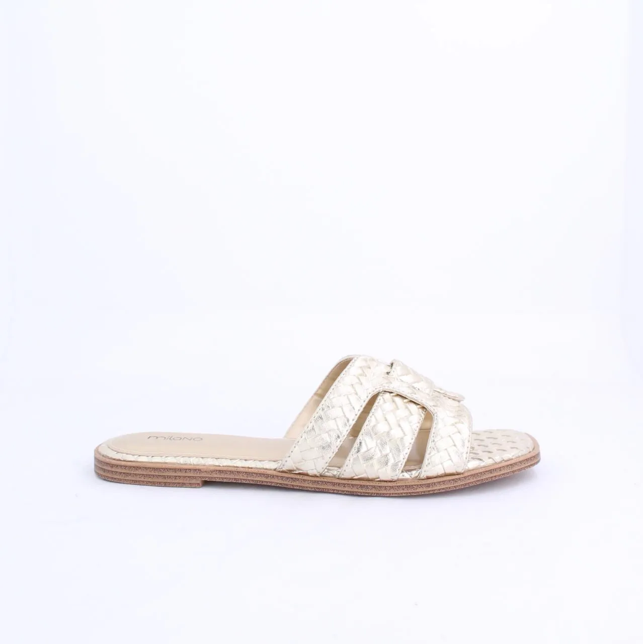 ESSI-Slides-flats-GOLD
