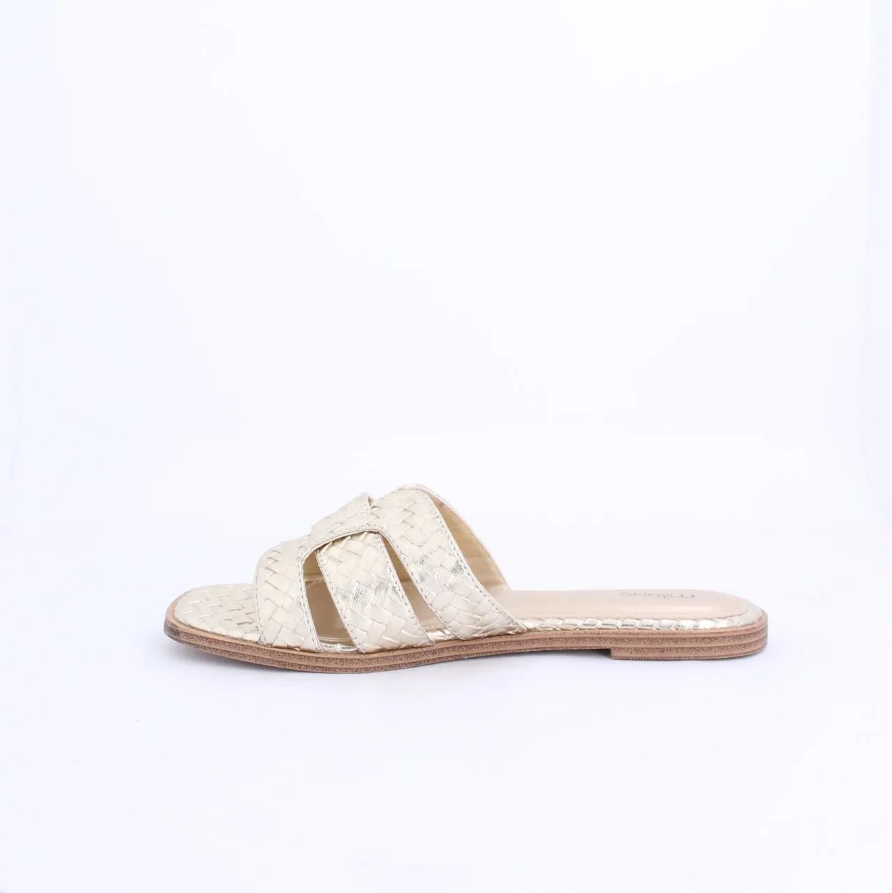 ESSI-Slides-flats-GOLD